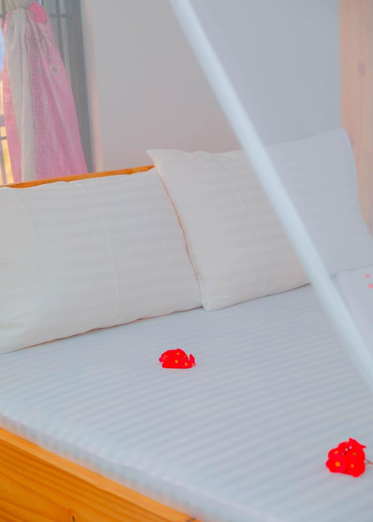 Raha House Bed & Breakfast Nungwi Dış mekan fotoğraf